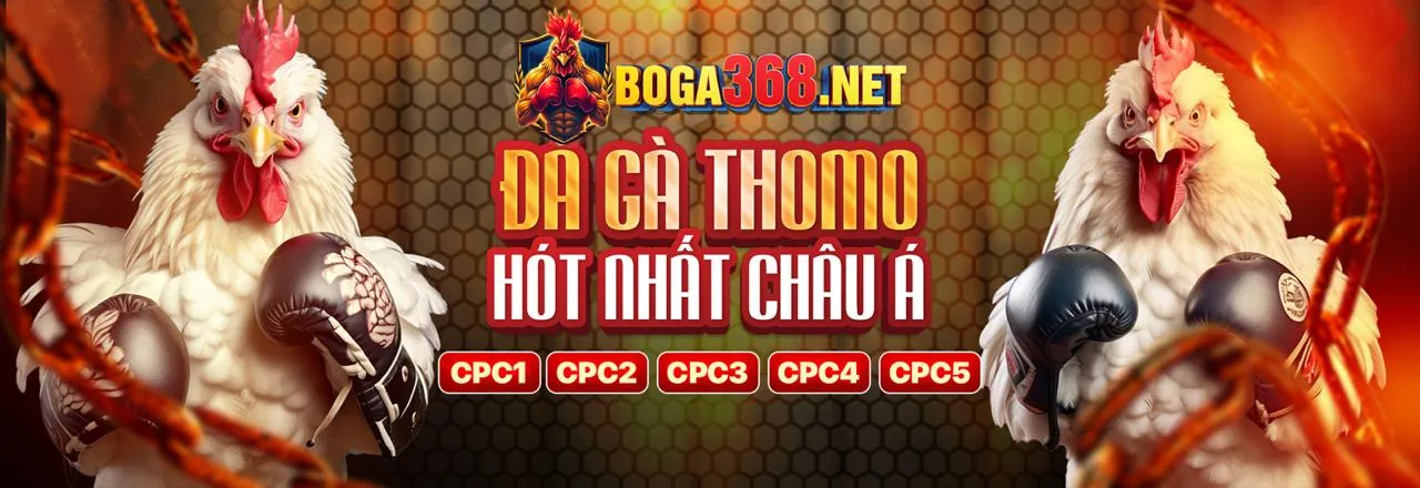 Giao diện đá gà trực tuyến tại g7bet đăng nhập